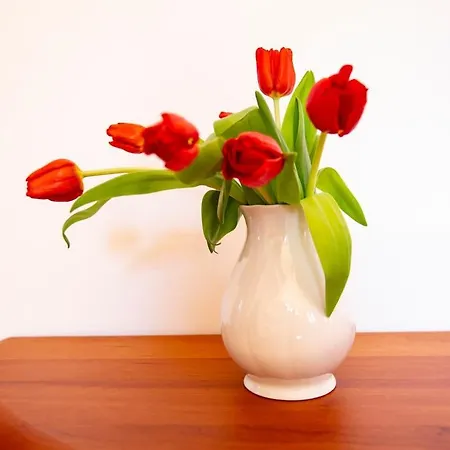 La Finestra Sul דירה *